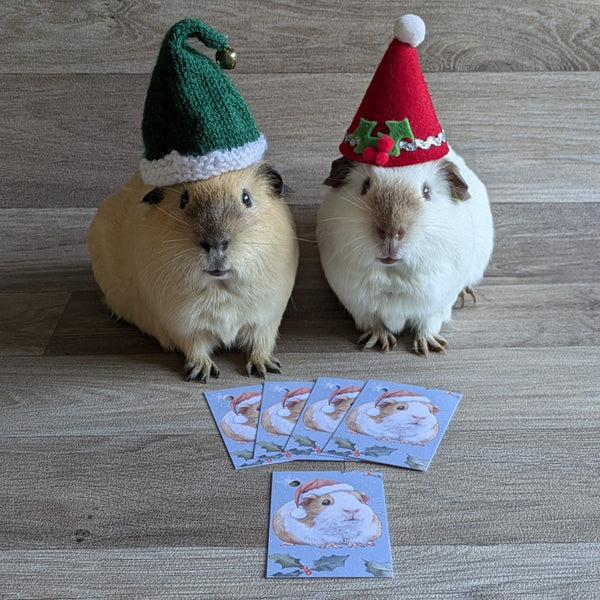 Pack of 5 Guinea Pig Christmas Gift Tags (Holly and Berries)