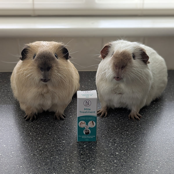 Ivermectin 1% Topical MIte Treatment for Guinea Pigs