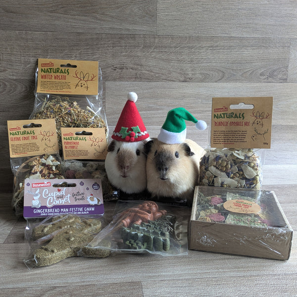 Rosewood Cupid and Comet Gingerbread Man Festive Gnaw Guinea Pig Treat