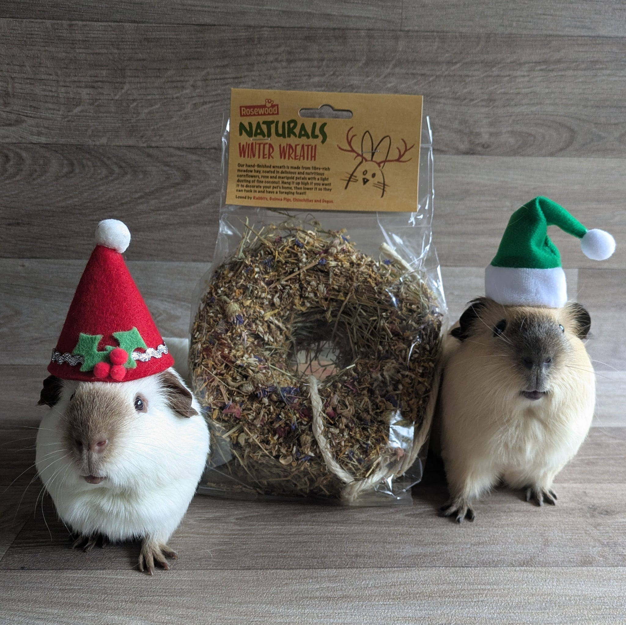 Rosewood Naturals Winter Wreath Guinea Pig Treat