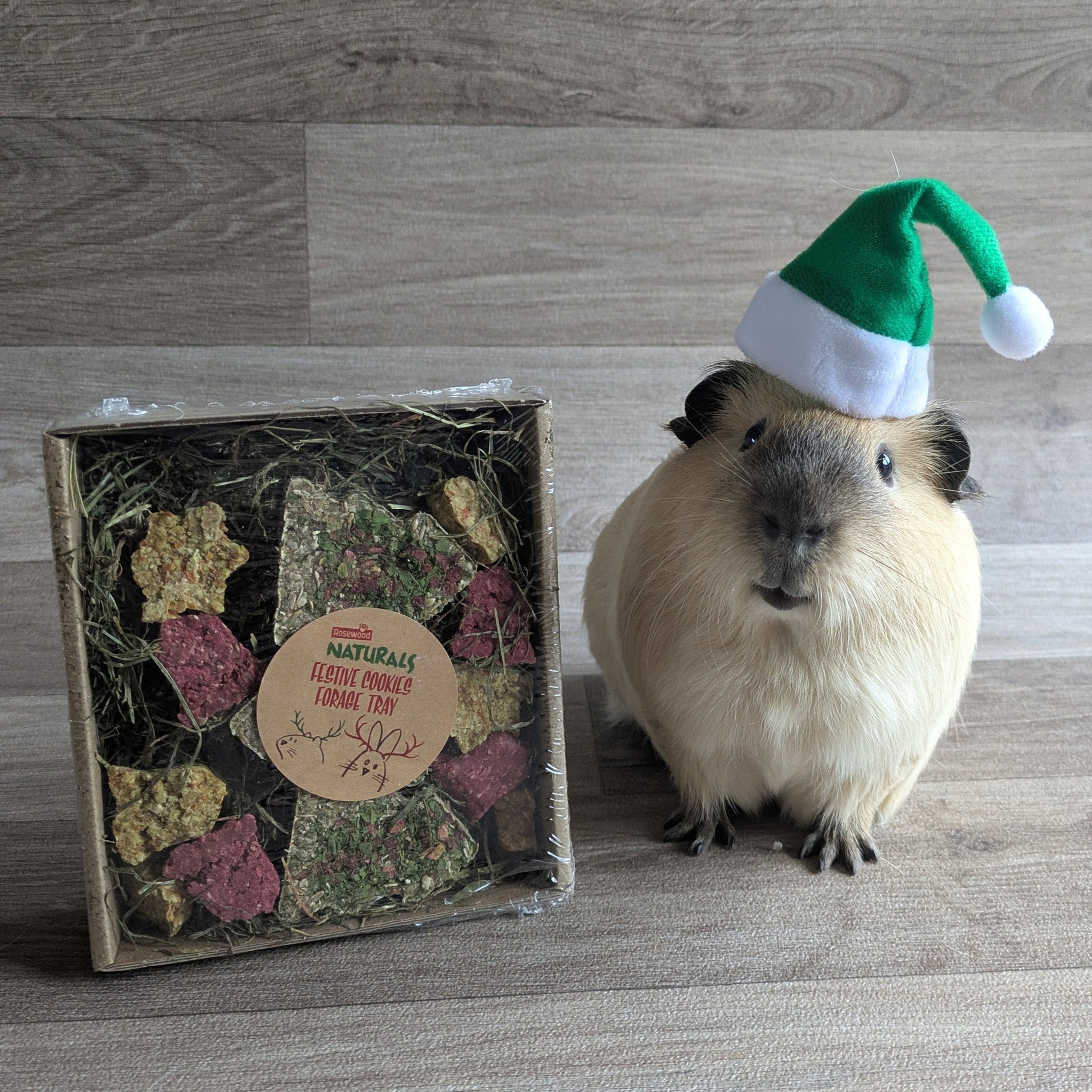 Rosewood Naturals Festive Cookies Forage Tray Guinea Pig Christmas Treat