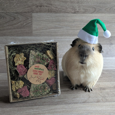 Rosewood Naturals Festive Cookies Forage Tray Guinea Pig Christmas Treat