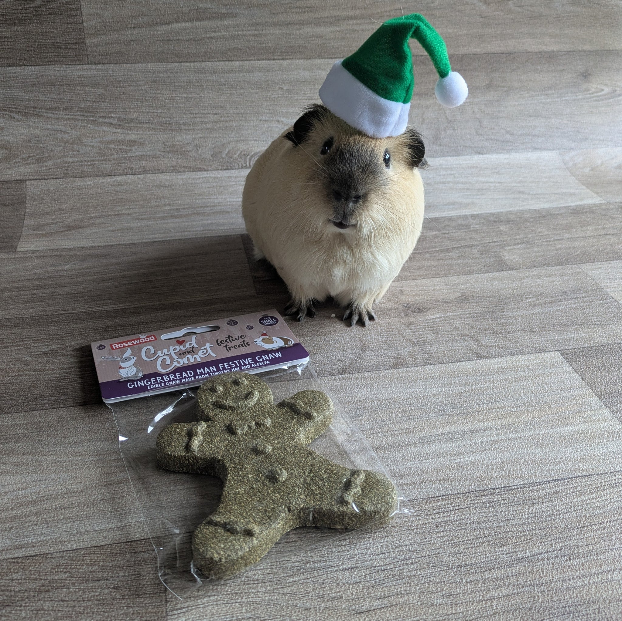Rosewood Cupid and Comet Gingerbread Man Festive Gnaw Guinea Pig Treat