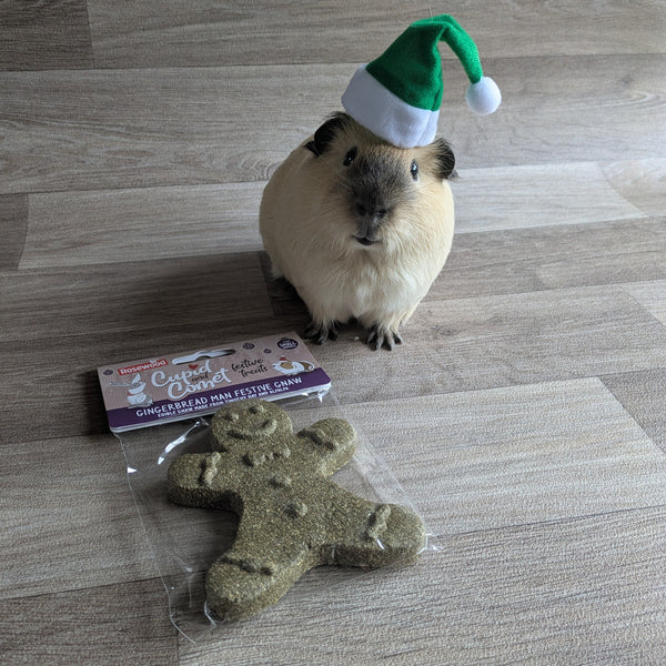 Rosewood Cupid and Comet Gingerbread Man Festive Gnaw Guinea Pig Treat