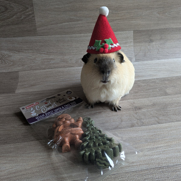 Rosewood Cupid and Comet Veggie Burst Santa and Tree Duo Guinea Pig Treats