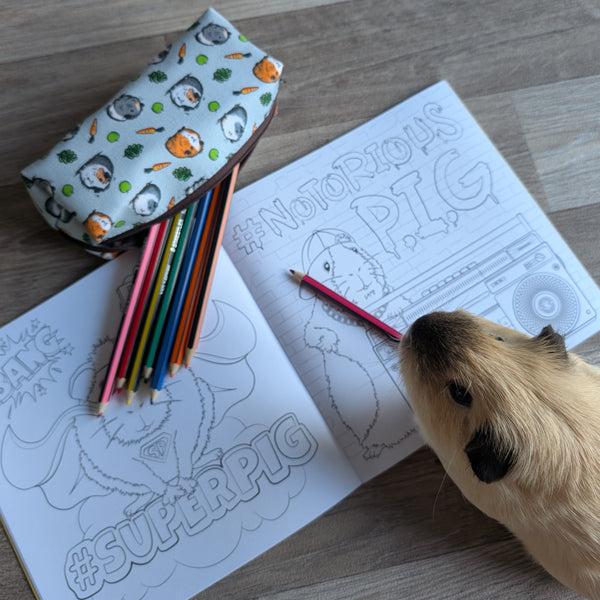 Guinea Pig Pencil Case