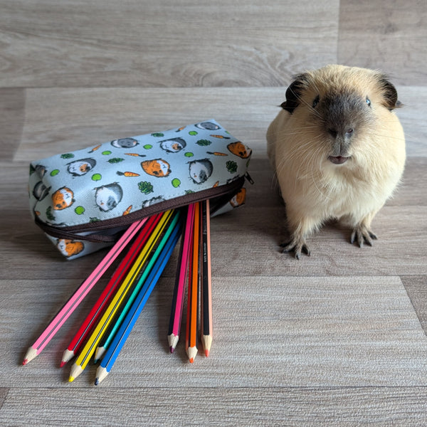 Guinea Pig Pencil Case