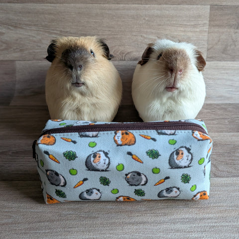 Guinea Pig Pencil Case