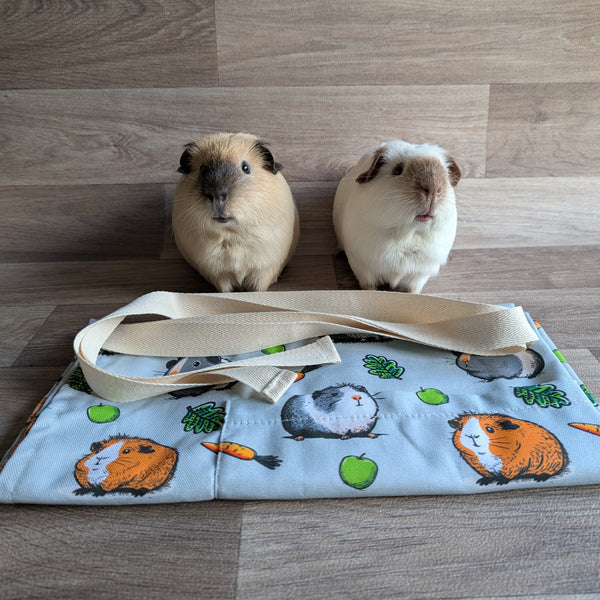 Guinea Pig Apron