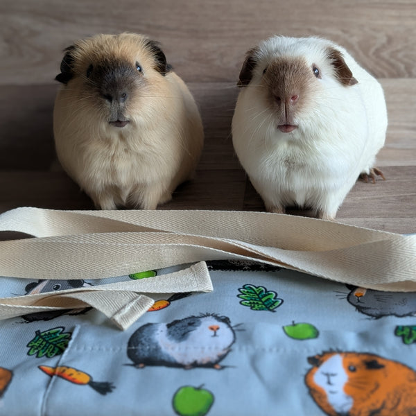 Guinea Pig Apron