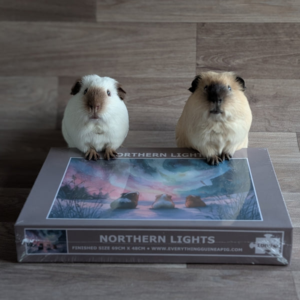 Guinea Pig Jigsaw Puzzle 1000 piece - Northern Lights