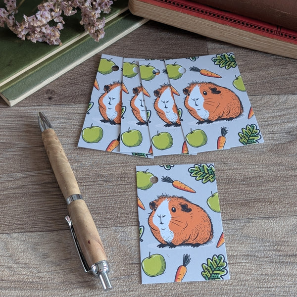 Pack of 5 Guinea Pig Gift Tags (Carrot)