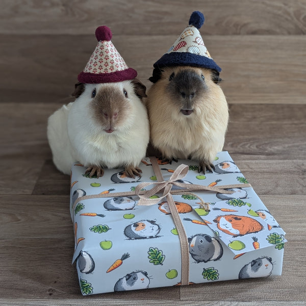 Guinea Pig Wrapping Paper and Gift Tag Set (Carrot)