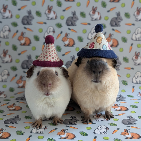 Guinea Pig Wrapping Paper and Gift Tag Set (Carrot)