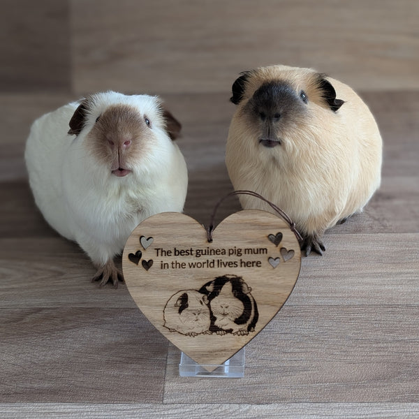 Oak Guinea Pig 'Best Mum' Heart Decoration