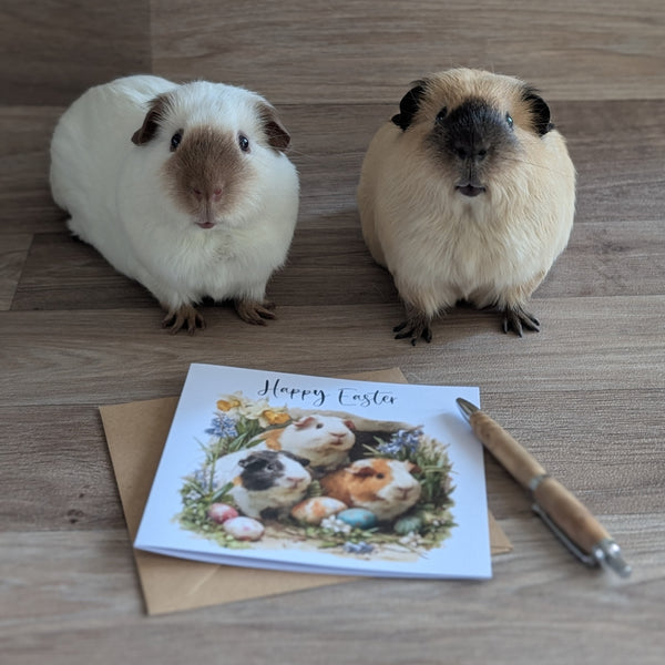 Guinea Pig Easter Card