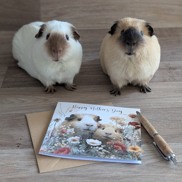 Guinea Pig Mother's Day Card