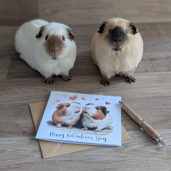 Guinea Pig Valentine's Card