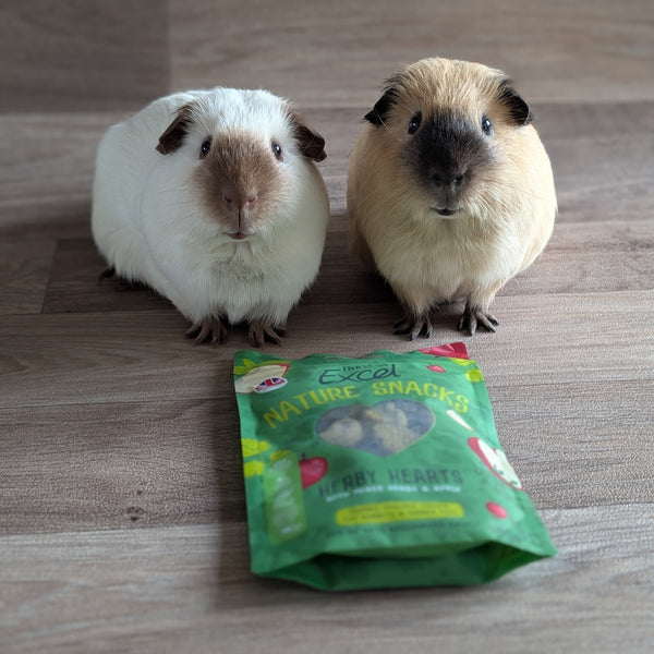 Burgess Excel Nature Snacks Herby Hearts Guinea Pig Treats