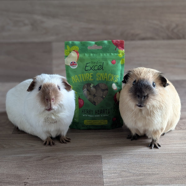 Burgess Excel Nature Snacks Herby Hearts Guinea Pig Treats