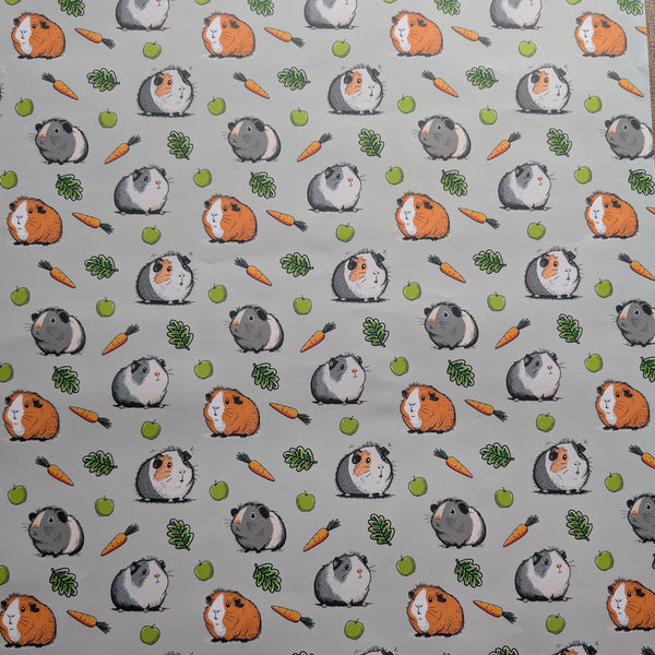 Guinea Pig Wrapping Paper and Gift Tag Set (Carrot)