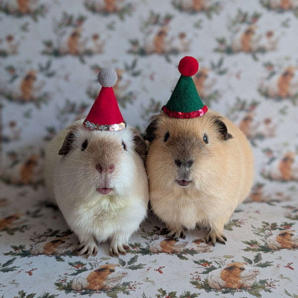 Guinea Pig Christmas Wrapping Paper and Gift Tag Set (Guinea Pig Family)