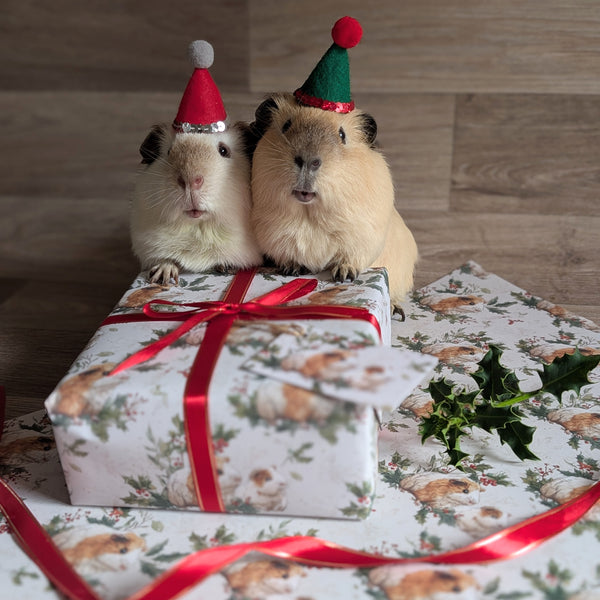 Guinea Pig Christmas Wrapping Paper and Gift Tag Set (Guinea Pig Family)