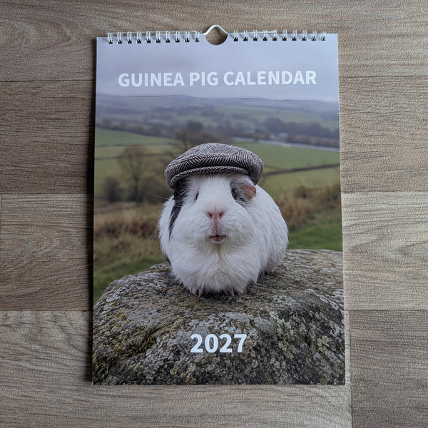 Guinea Pig Calendar 2027