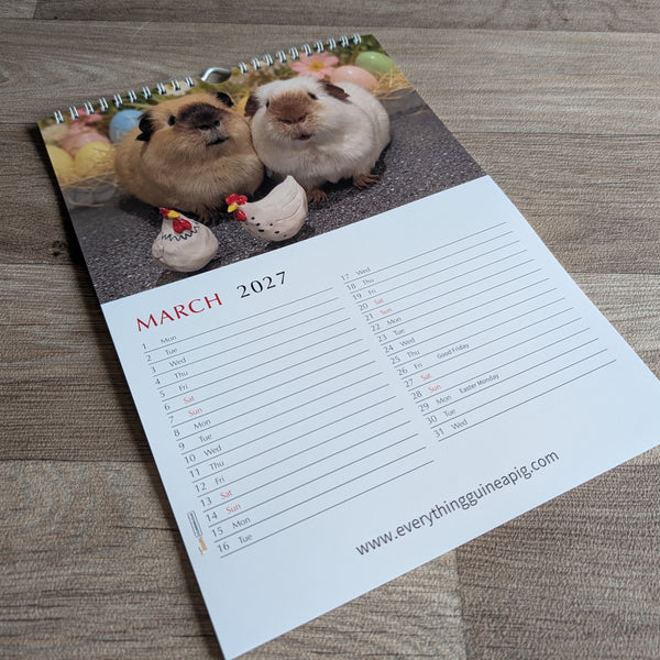 Guinea Pig Calendar 2027