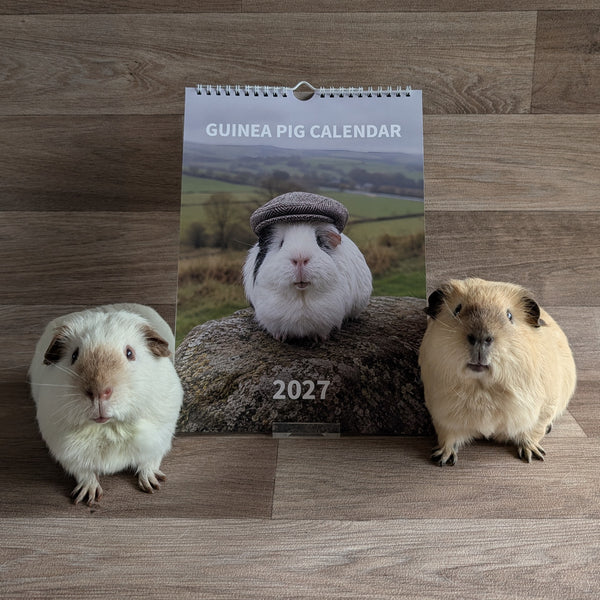 Guinea Pig Calendar 2027