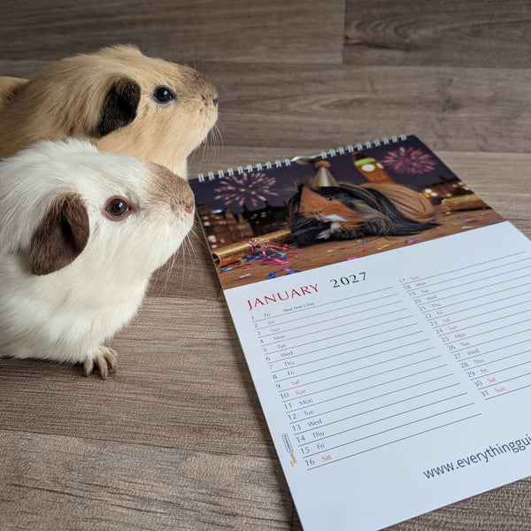 Guinea Pig Calendar 2027