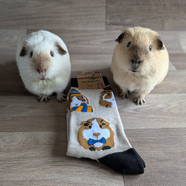 Guinea Pig Socks (Size L, UK 9-12) Posh Pigs