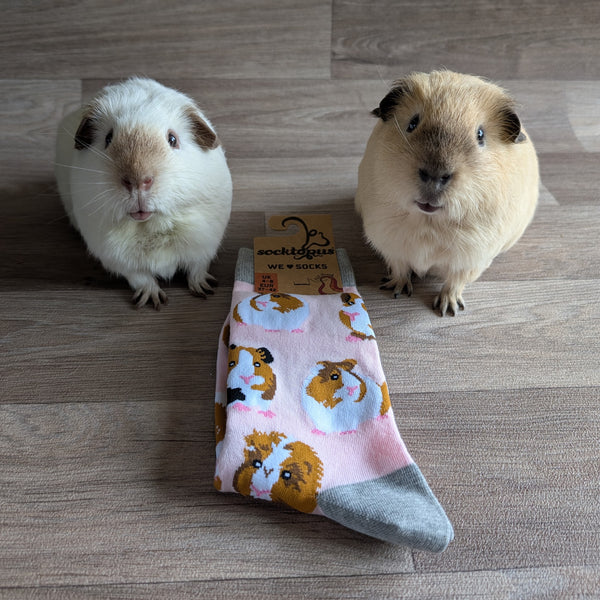 Guinea Pig Socks (Size S, UK 4-8) Pink/Grey