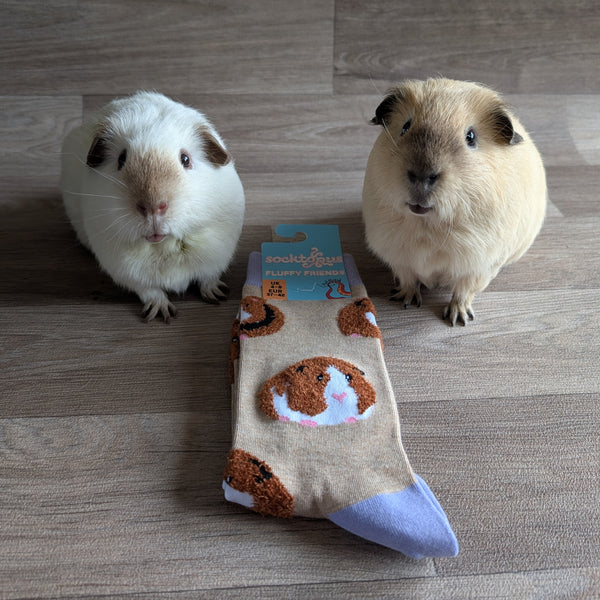 Guinea Pig Socks (Size S, UK 4-8) Fluffy Friends