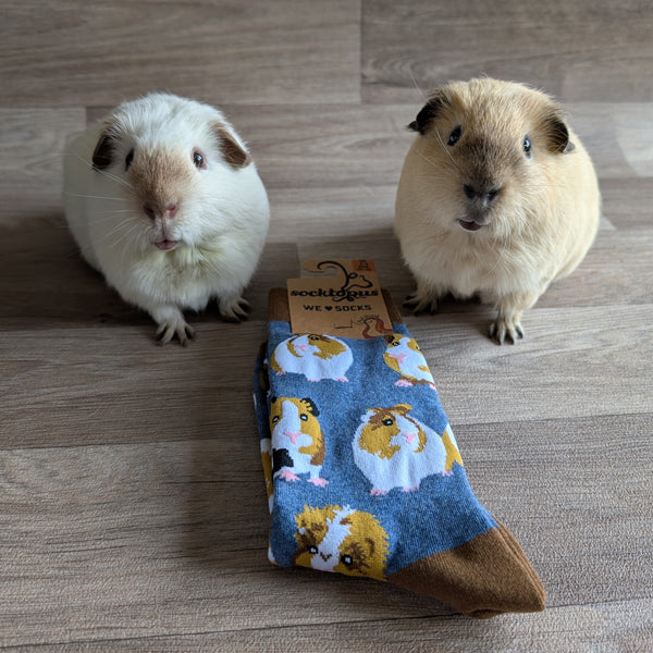 Guinea Pig Socks (Size S, UK 4-8) Blue/Brown