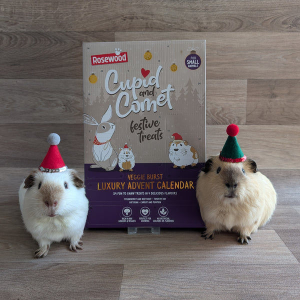 Rosewood Cupid & Comet Veggie Burst Luxury Advent Calendar for Guinea Pigs