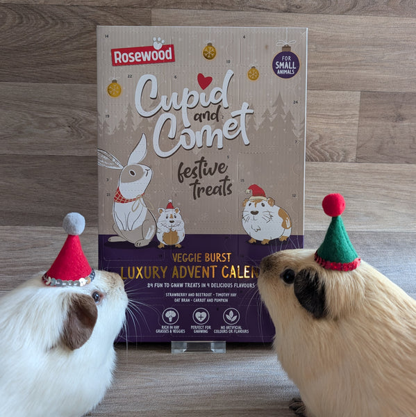 Rosewood Cupid & Comet Veggie Burst Luxury Advent Calendar for Guinea Pigs