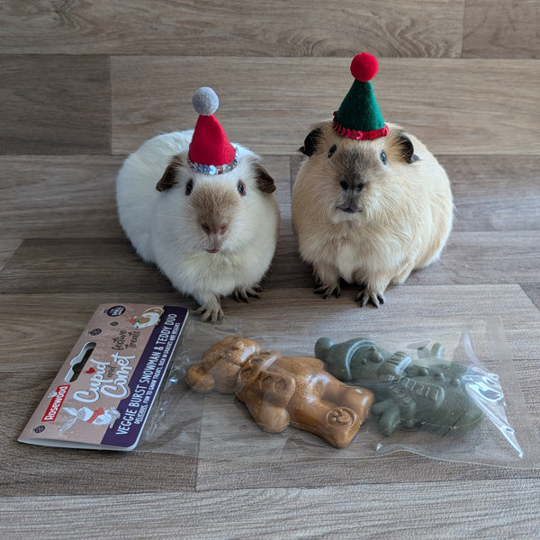 Guinea Pig Christmas Treats | Rosewood Snowman & Teddy