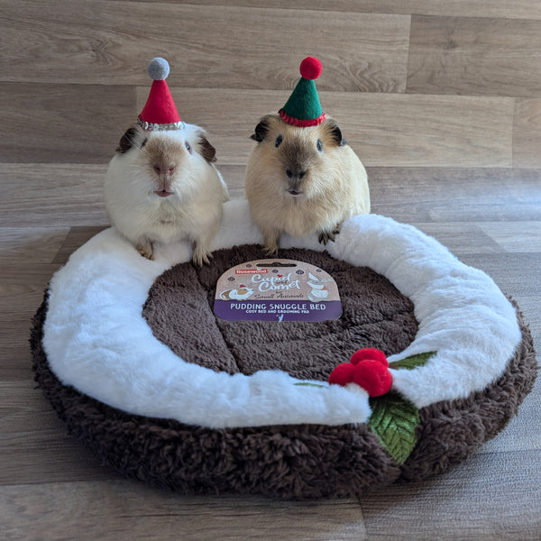 Guinea Pig Christmas Pudding Snuggle Bed | Rosewood