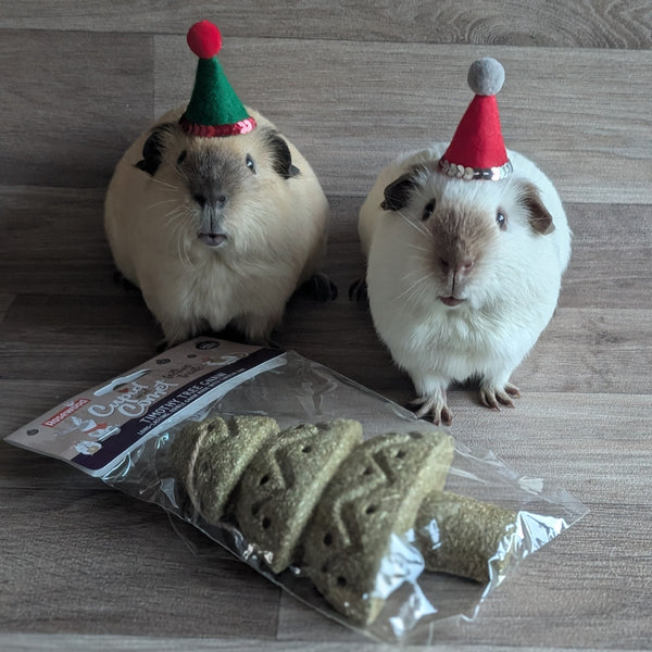 Rosewood Cupid & Comet Timothy Christmas Tree Gnaw for Guinea Pigs