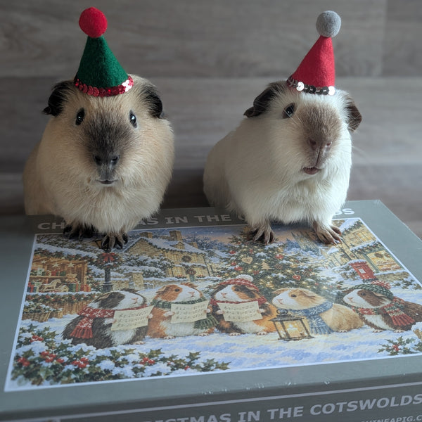 Guinea Pig Jigsaw Puzzle 1000 piece - Christmas in the Cotswolds