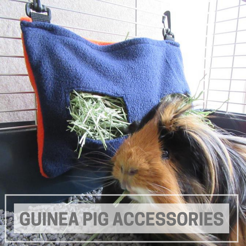 Guinea hot sale pig homeware