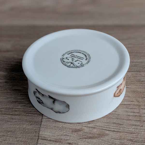 Fine China Guinea Pig Trinket Box