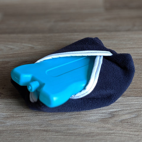 Guinea Pig Ice Pack - Blue