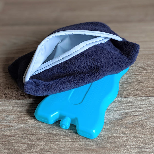 Guinea Pig Ice Pack - Blue
