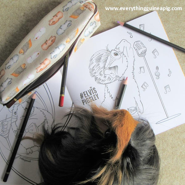 Guinea Pig Pencil Case - Water Colour Guinea Pig Design