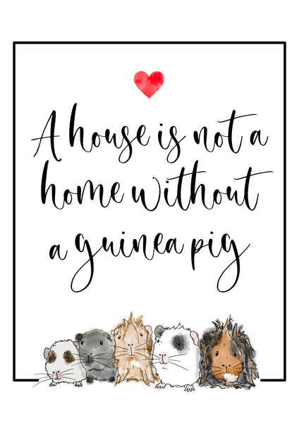 Guinea Pig Poster Print - A house is not a home