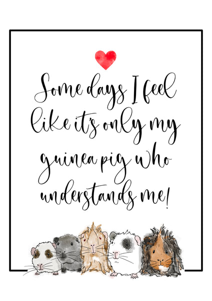 Guinea Pig Poster Print - Some days I feel