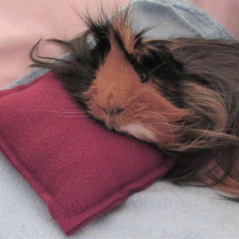 Piggy Pillow Set