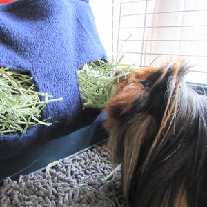 Clip-on Guinea Pig Hay Feeder - Navy/Orange